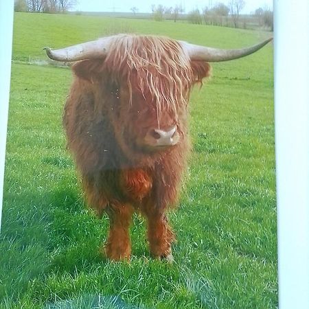 Ferienwohnung Elisa Staig  Zewnętrze zdjęcie